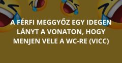 A férfi meggyőz egy idegen lányt a vonaton, hogy menjen vele a WC-re (Vicc)