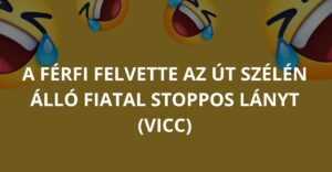 A férfi felvette az út szélén álló fiatal stoppos lányt (Vicc)