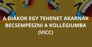 A diákok egy tehenet akarnak becsempészni a kollégiumba (Vicc)