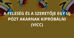 A feleség és a szeretője egy új pózt akarnak kipróbálni (Vicc)