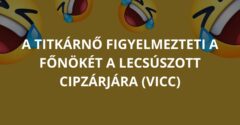 A titkárnő figyelmezteti a főnökét a lecsúszott cipzárjára (Vicc)