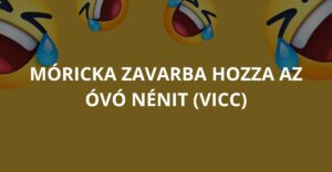 Móricka zavarba hozza az óvó nénit (Vicc)