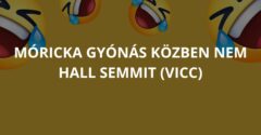 Móricka gyónás közben nem hall semmit (Vicc)