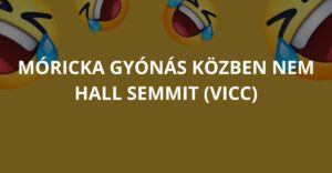 Móricka gyónás közben nem hall semmit (Vicc)