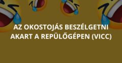 Az okostojás beszélgetni akart a repülőgépen (Vicc)