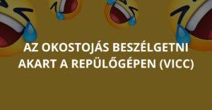 Az okostojás beszélgetni akart a repülőgépen (Vicc)