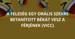 A feleség egy orális szexre betanított békát vesz a férjének (Vicc)