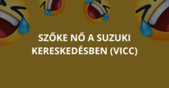 Szőke nő a Suzuki kereskedésben (Vicc)