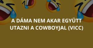 A dáma nem akar együtt utazni a cowboyjal (Vicc)