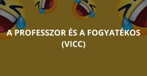 A professzor és a fogyatékos (Vicc)