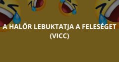 A halőr lebuktatja a feleséget (Vicc)