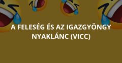 A feleség és az igazgyöngy nyaklánc (Vicc)