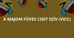 A majom füves cigit szív (Vicc)