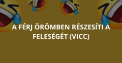 A férj örömben részesíti a feleségét (Vicc)