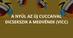 A nyúl az új cuccaival dicsekszik a medvének (Vicc)