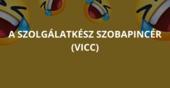 A szolgálatkész szobapincér (Vicc)