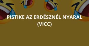 Pistike az erdésznél nyaral (Vicc)