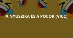 A nyuszika és a pocok (Vicc)