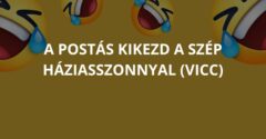 A postás kikezd a szép háziasszonnyal (Vicc)