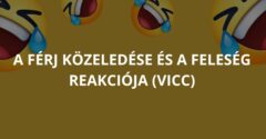 A férj közeledése és a feleség reakciója (Vicc)