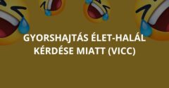 Gyorshajtás élet-halál kérdése miatt (Vicc)