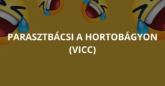 Parasztbácsi a Hortobágyon (Vicc)