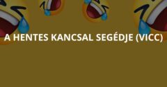 A hentes kancsal segédje (Vicc)