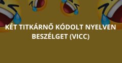 Két titkárnő kódolt nyelven beszélget (Vicc)