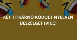 Két titkárnő kódolt nyelven beszélget (Vicc)