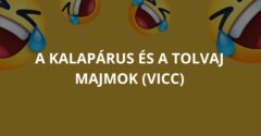 A kalapárus és a tolvaj majmok (Vicc)