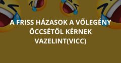 A friss házasok a vőlegény öccsétől kérnek vazelint (Vicc)