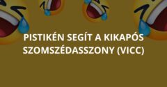 Pistikén segít a kikapós szomszédasszony (Vicc)