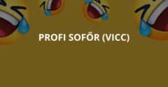 Profi sofőr (Vicc)