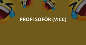 Profi sofőr (Vicc)