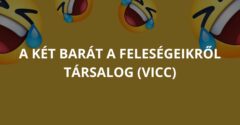 A két barát a feleségeikről társalog (Vicc)