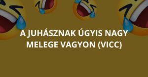 A juhásznak úgyis nagy melege vagyon (Vicc)