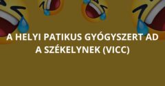 A helyi patikus gyógyszert ad a székelynek (Vicc)